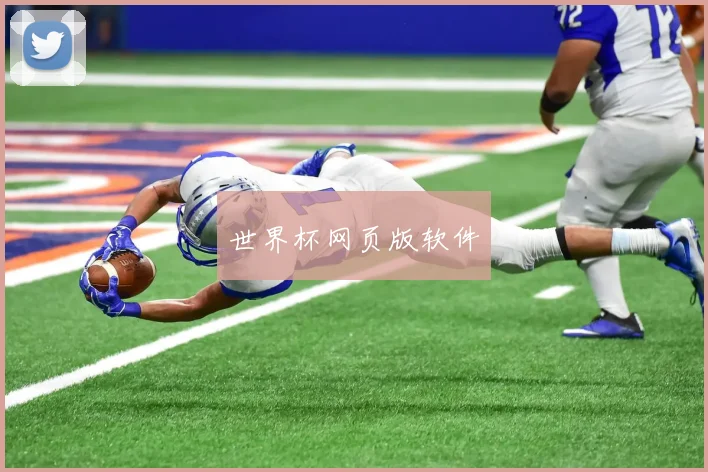 世界杯网页版软件