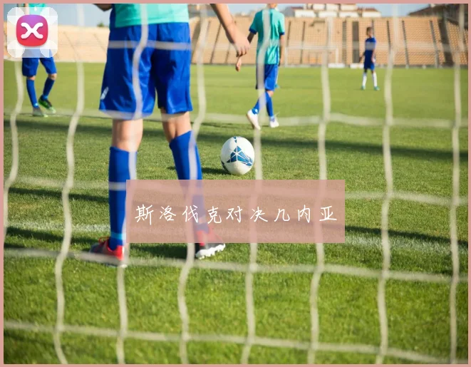 斯洛伐克对决几内亚