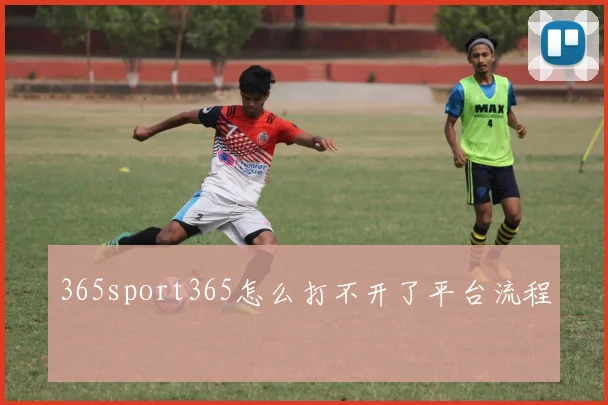 365sport365怎么打不开了平台流程