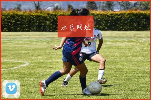 永乐网址