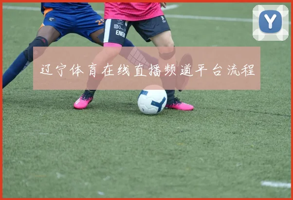 辽宁体育在线直播频道平台流程