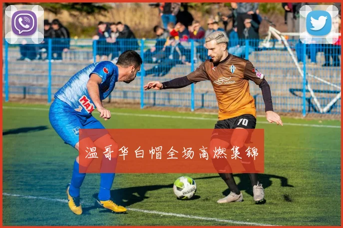 温哥华白帽全场高燃集锦