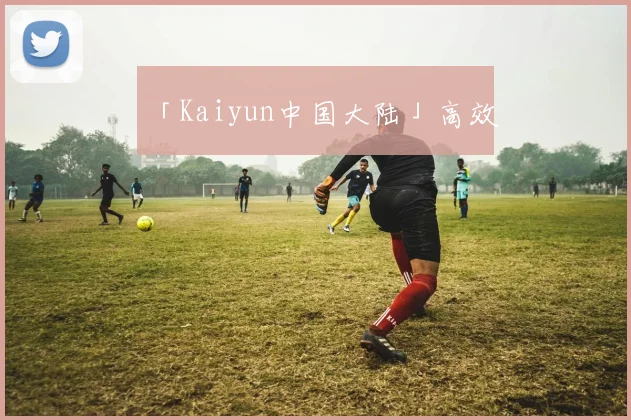 「Kaiyun中国大陆」高效