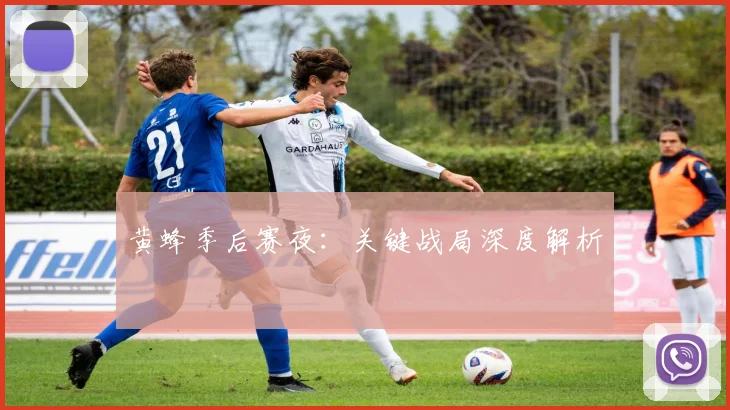 黄蜂季后赛夜：关键战局深度解析