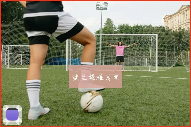 波兰强碰马里