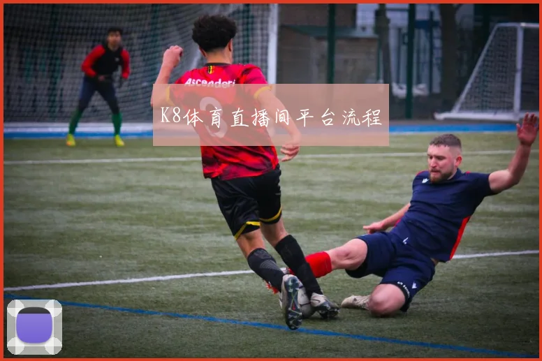 K8体育直播间平台流程