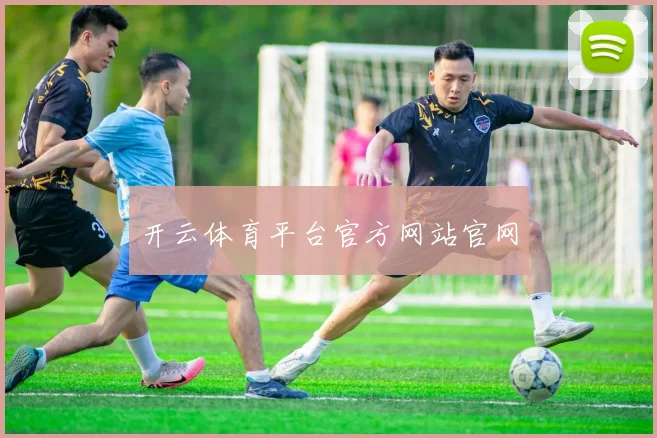 开云体育平台官方网站官网