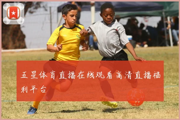 五星体育直播在线观看高清直播福利平台