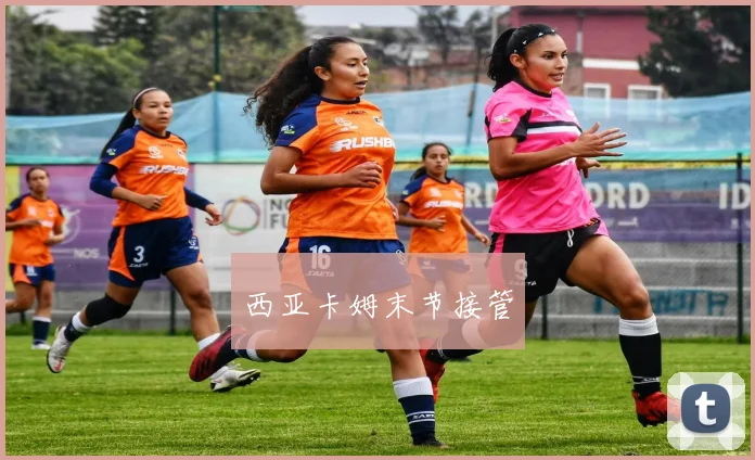 西亚卡姆末节接管