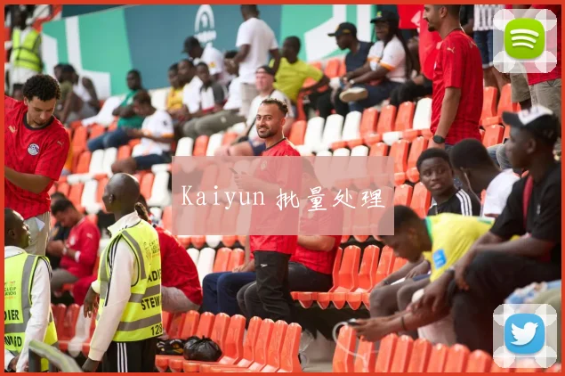 Kaiyun 批量处理