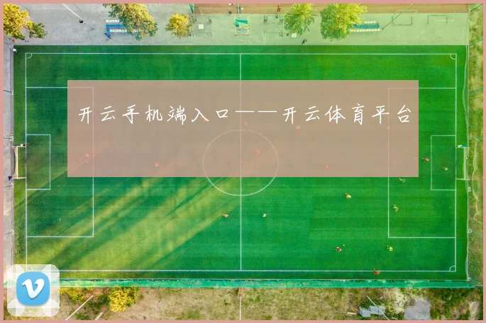 开云手机端入口——开云体育平台