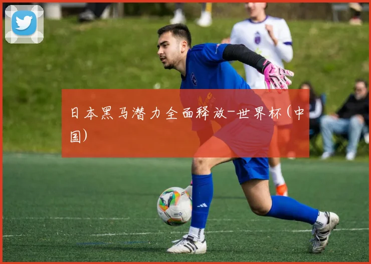 日本黑马潜力全面释放-世界杯(中国)