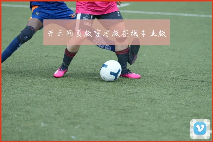 开云网页版官方版在线专业版