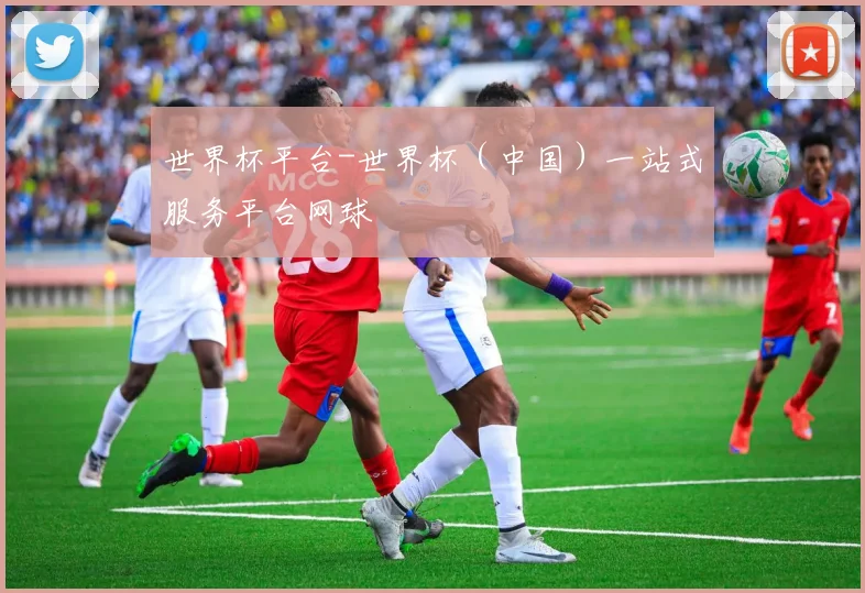 世界杯平台-世界杯（中国）一站式服务平台网球