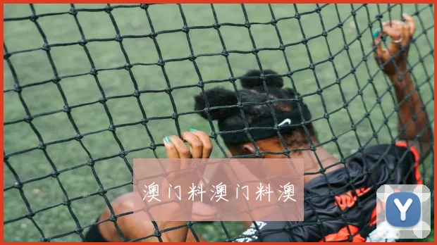 澳门料澳门料澳