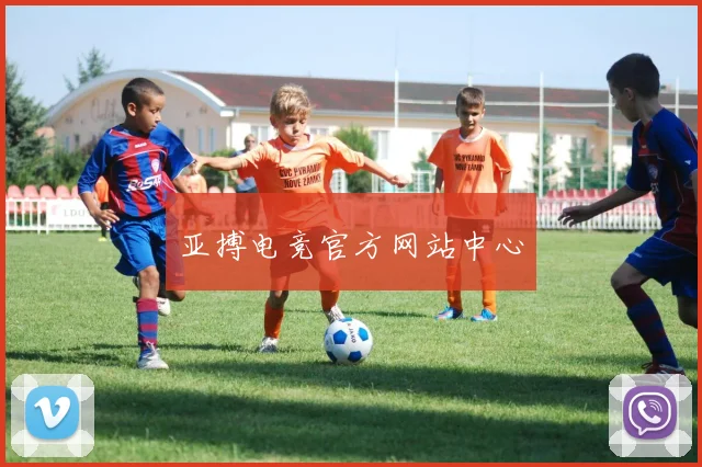 亚搏电竞官方网站中心