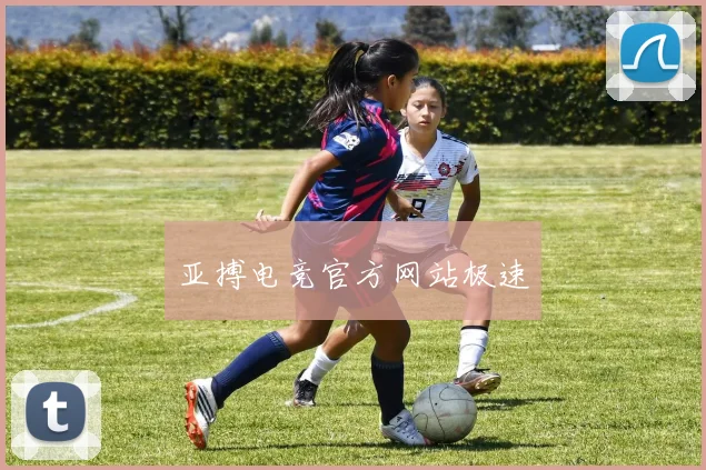 亚搏电竞官方网站极速