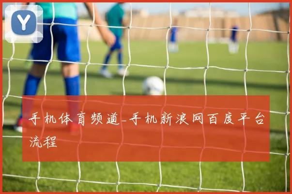 手机体育频道_手机新浪网百度平台流程