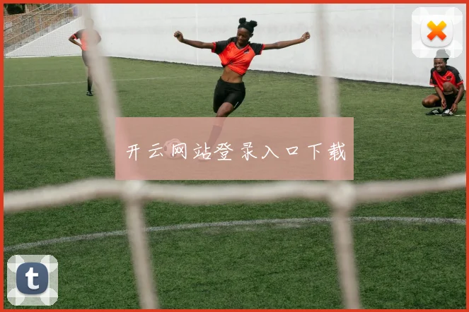 开云网站登录入口下载
