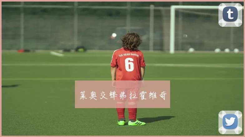 莱奥交锋弗拉霍维奇