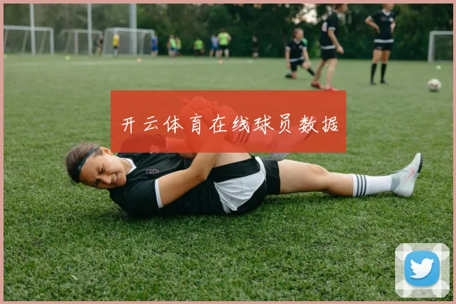 开云体育在线球员数据
