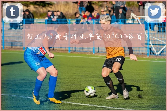 打工人!新手对比半岛bandao体育