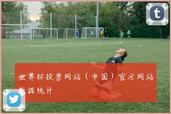 世界杯投票网站（中国）官方网站数据统计
