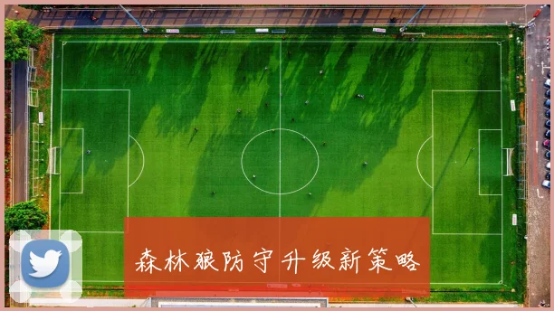 森林狼防守升级新策略