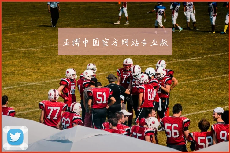 亚搏中国官方网站专业版