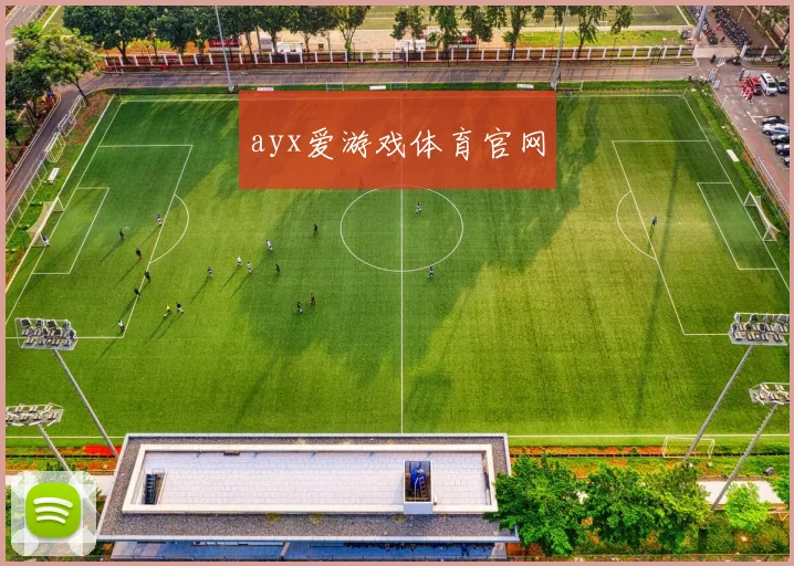 ayx爱游戏体育官网