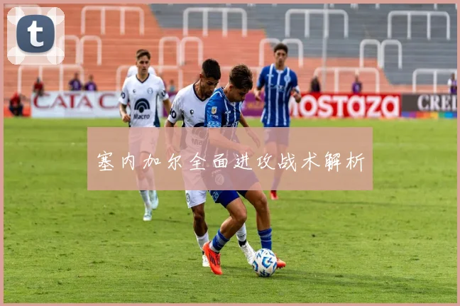 塞内加尔全面进攻战术解析