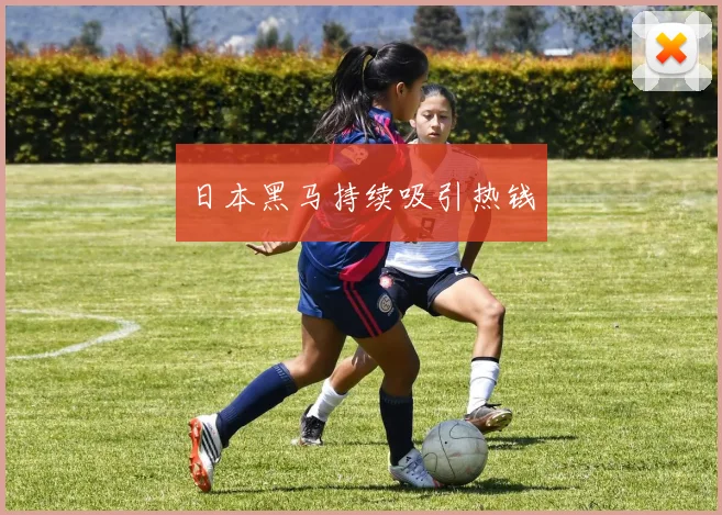 日本黑马持续吸引热钱