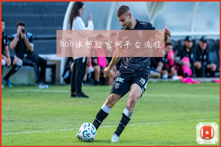 bob体想验官网平台流程
