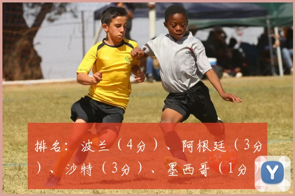 排名：波兰（4分）、阿根廷（3分）、沙特（3分）、墨西哥（1分）