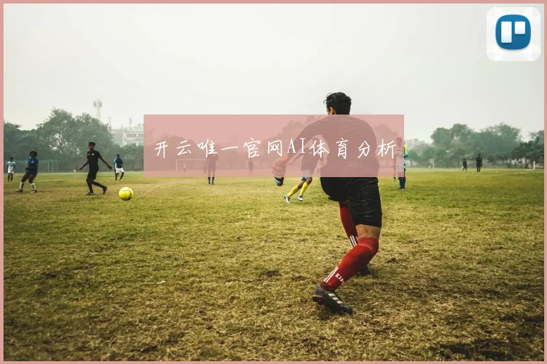 开云唯一官网AI体育分析
