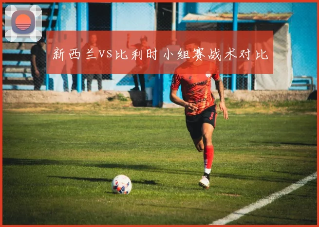 新西兰vs比利时小组赛战术对比