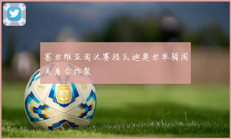 塞尔维亚淘汰赛格瓦迪奥尔单骑闯关看台炸裂
