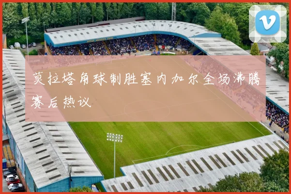 莫拉塔角球制胜塞内加尔全场沸腾赛后热议