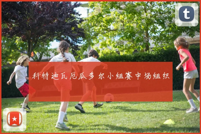 科特迪瓦厄瓜多尔小组赛中场组织