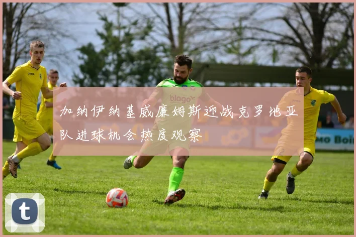 加纳伊纳基威廉姆斯迎战克罗地亚队进球机会热度观察