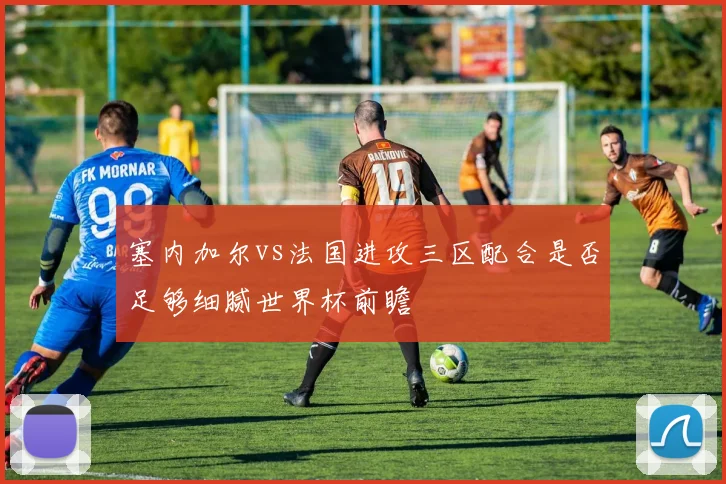 塞内加尔vs法国进攻三区配合是否足够细腻世界杯前瞻